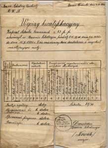 archiwum-domowe-wyciag_kwalifikacyjny_1