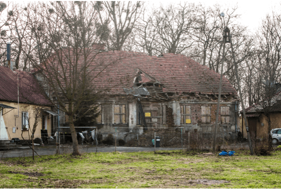 artystyczna koligacja