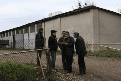 dęby jana pawła ii