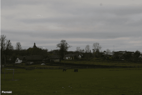 dęby jana pawła ii