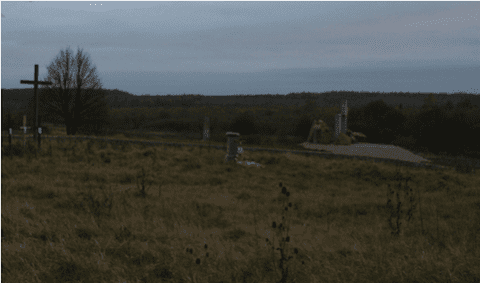 dęby jana pawła ii