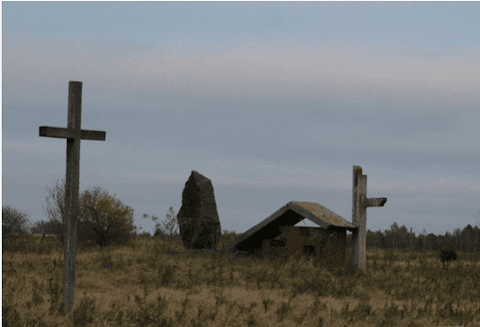 dęby jana pawła ii