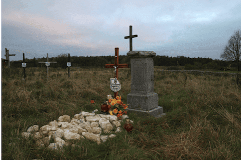 dęby jana pawła ii