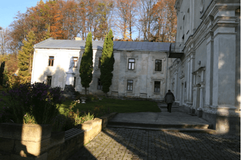 dęby jana pawła ii