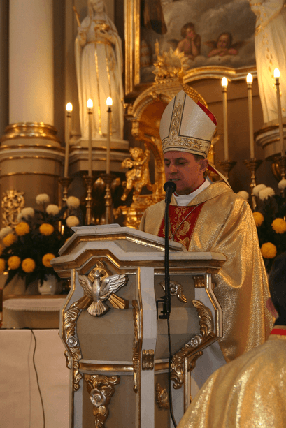 dęby jana pawła ii