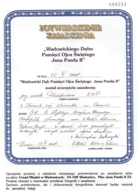 dęby jana pawła ii