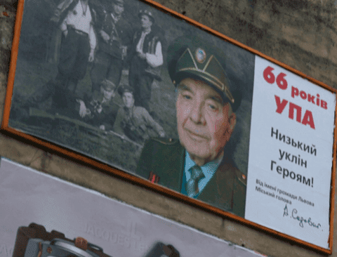 dęby jana pawła ii