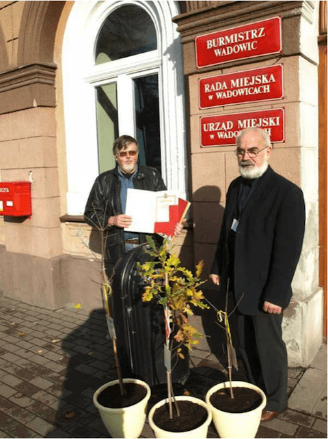 dęby jana pawła ii