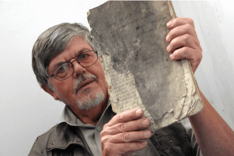 dęby jana pawła ii