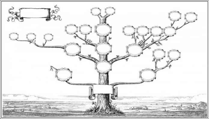 drzewo genealogiczne