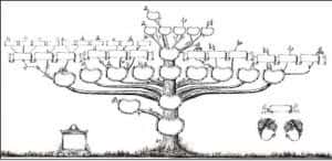 drzewo genealogiczne 2