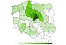 Czachorowski czachorowski