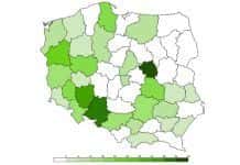 Ornatowski ornatowski