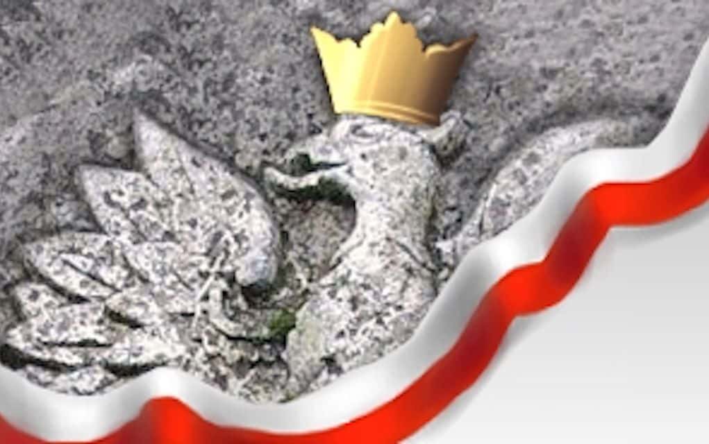 program ewidencji polonicum