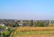 Rozalia Baranowska Czaja Rozalia Baranowska Czaja